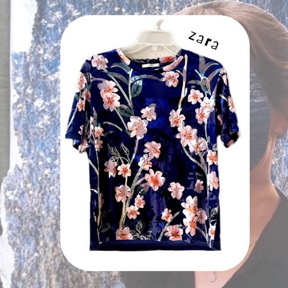 🆕 Zara • blue & pink floral print velvet short sleeve blouse top - Picture 1 of 16